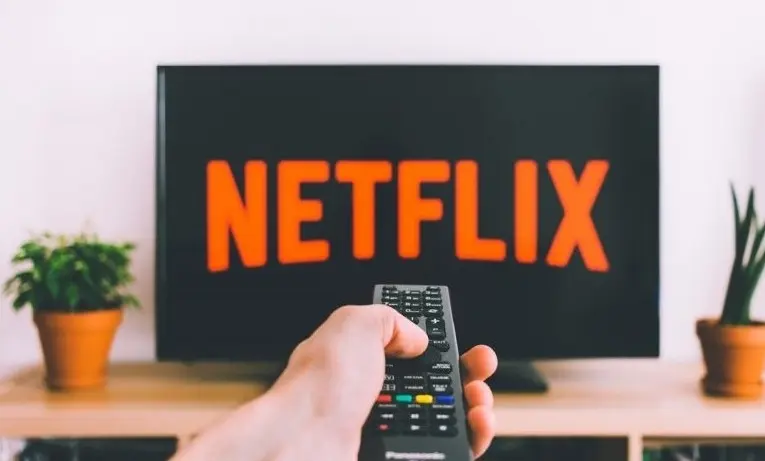 Fun Facts about Netflix